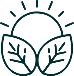Stylized icon of a sun rising behind leaves.