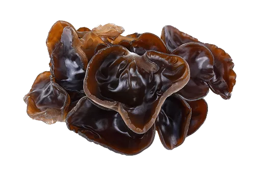 Black Fungus